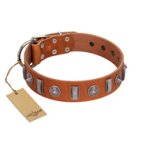 "Luxurious Necklace" FDT Artisan Tan Leather Belgian Malinois Collar with Silver-Like Adornments