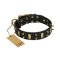 "Medieval Style" FDT Artisan Leather Belgian Malinois Collar with Brass Plates and Spikes