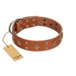 "Dreamy Gleam" FDT Artisan Tan Leather Belgian Malinois Collar Adorned with Stars and Squares