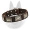 Belgian Malinois Leather Collar with Fancy Plates