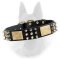 Belgian Malinois Spiked Leather Dog Collar with Old Brass Plates and Nickel Pyramids