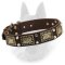 Stylish War Belgian Malinois Collar with Brass Plates and Nickel Pyramids