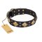 "Fancy-Schmancy" FDT Artisan Studded Leather Belgian Malinois Collar