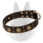 "Space-like" Belgian Malinois Leather Dog Collar
