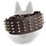Spiked Leather Belgian Malinois Collar 3 Inch Wide