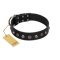 "Black Knight" Handmade FDT Artisan Black Leather Belgian Malinois Collar with Silver-Like Studs