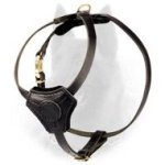 Leather Dog Harness for Belgian Malinois Puppies