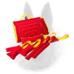 Start Training Belgian Malinois Puppy with Wonderful Bite Tugs Set