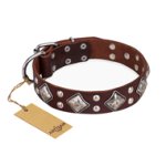 "King of Grace" FDT Artisan Stylish Leather Belgian Malinois Collar with Old Silver-Like Plated Decorations
