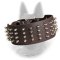 Spiked Leather Belgian Malinois Collar 3 Inch Wide