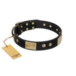 "Antique Gloss" FDT Artisan Black Leather Belgian Malinois Collar with Bronze-like Plates and Small Studs