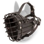 Belgian Malinois Winter Wire Basket Dog Muzzle Leather Padded