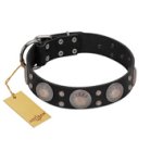 "Starry Sky" Trendy FDT Artisan Black Leather Belgian Malinois Collar with Large Brooches