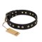"Black Elegance" FDT Artisan Leather Belgian Malinois Collar with Round Studs
