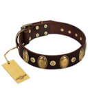 "Retro Pusle" FDT Artisan Brown Leather Belgian Malinois Collar with Old Bronze-like Studs and Oval Brooches