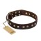 "Bronze Sheen" FDT Artisan Leather Belgian Malinois Collar with Brass-Plated Studs