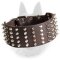 Extra Wide Belgian Malinois Leather Collar with Spikes and Studs