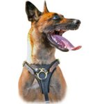 Padded Adjustable Leather Malinois Harness for Tracking And Walking