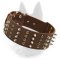 Belgian Malinois Spiked and Studded Collar/Wide Leather Collar