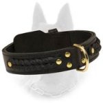 Leather Belgian Malinois Dog Collar With Braids And Center D-Ring