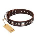 "Perfect Impression" FDT Artisan Brown Leather Belgian Malinois Collar with Square Studs - 1 1/2 inch (40 mm) Wide
