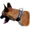 Belgian Malinois Working Nylon Dog Collar with Patches and Quick Release Buckle