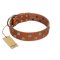 "Ancient Symbol" Trendy FDT Artisan Tan Leather Belgian Malinois Collar with Silver- and Gold-Like Studs