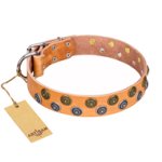 "Precious Sparkle" FDT Artisan Decorated Leather Collar for Belgian Malinois
