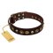 "Street Fashion" FDT Artisan Brown Leather Belgian Malinois Collar Adorned with Circles and Skulls