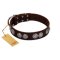 "High and Mighty" FDT Artisan Classy Brown Leather Belgian Malinois Collar with Embellished Brooches