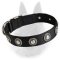 Belgian Malinois Nylon Dog Collar with Silver Circles