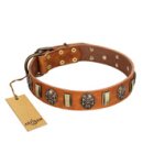 "Strike of Rock" FDT Artisan Tan Leather Belgian Malinois Collar with Plates and Medallions with Skulls