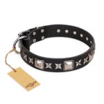 'Space Walk' FDT Artisan Belgian Malinois Black Leather Dog Collar with Exquisite Adornments