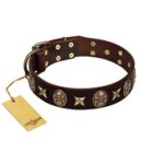 "Captain Hook" FDT Artisan Brown Leather Belgian Malinois Collar with Stars and Skulls