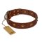 "Unfailing Charm" FDT Artisan Studded Tan Leather Belgian Malinois Collar