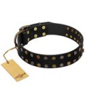 "Star Way" FDT Artisan Black Leather Belgian Malinois Collar with Bronze-like and Silver-like Star Studs