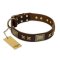 "Sparkling Bronze" FDT Artisan Genuine Leather Belgian Malinois Collar with Bronze Look Stars and Plates