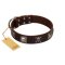 "Nut-Brown Finery" Embellished FDT Artisan Brown Leather Belgian Malinois Collar with Chrome Plated Crossbones and Plates