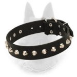 Leather Belgian Malinois Collar "Daily Elegance" with Silver-Like Pyramids