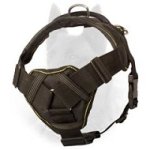 Weather Proof Nylon Belgian Malinois Harness for Tracking and Pulling