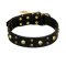 FDT Artisan 'Heavy Metal' Leather Belgian Malinois Collar with Skulls and Half-Balls 1 1/2 inch (40 mm)