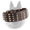 Extra Wide Leather Belgian Malinois Collar 4 Rows Decoration