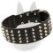 Belgian Malinois Studded Leather Dog Collar Wide with Nickel Pyramids
