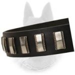 Belgian Malinois Leather Dog Collar with Slim Nickel Plates