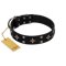 "Snappy Dresser" FDT Artisan Black Leather Belgian Malinois Collar Adorned with Stars and Tiny Squares