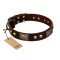 "Magic Amulet" Brown Leather Belgian Malinois Collar with Skulls and Plates