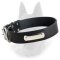 Belgian Malinois Leather Dog Collar with ID Tag