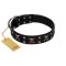 "Black Jack" Stylish Handmade FDT Artisan Black Leather Belgian Malinois Collar