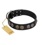 "Mister Exclusive" Designer FDT Artisan Black Leather Belgian Malinois Collar with Medallions