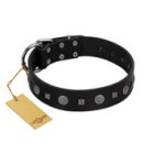 "Mr. Elegance" Designer FDT Artisan Black Leather Belgian Malinois Collar with Silver-Like Studs